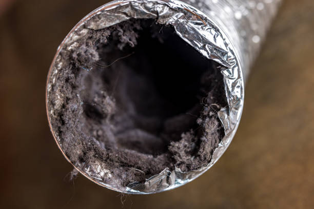 Best HVAC Maintenance and Cleaning  in Ridge Manor, FL