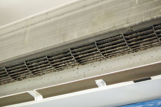 Best Best Air Duct Cleaning Company  in Ridge Manor, FL